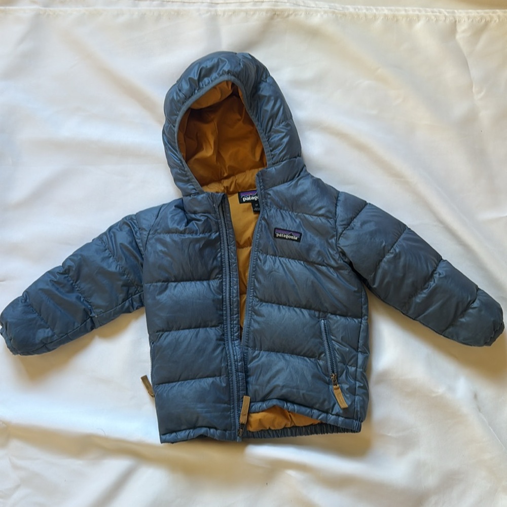 Patagonia Hi-Loft Down Sweater Hoody